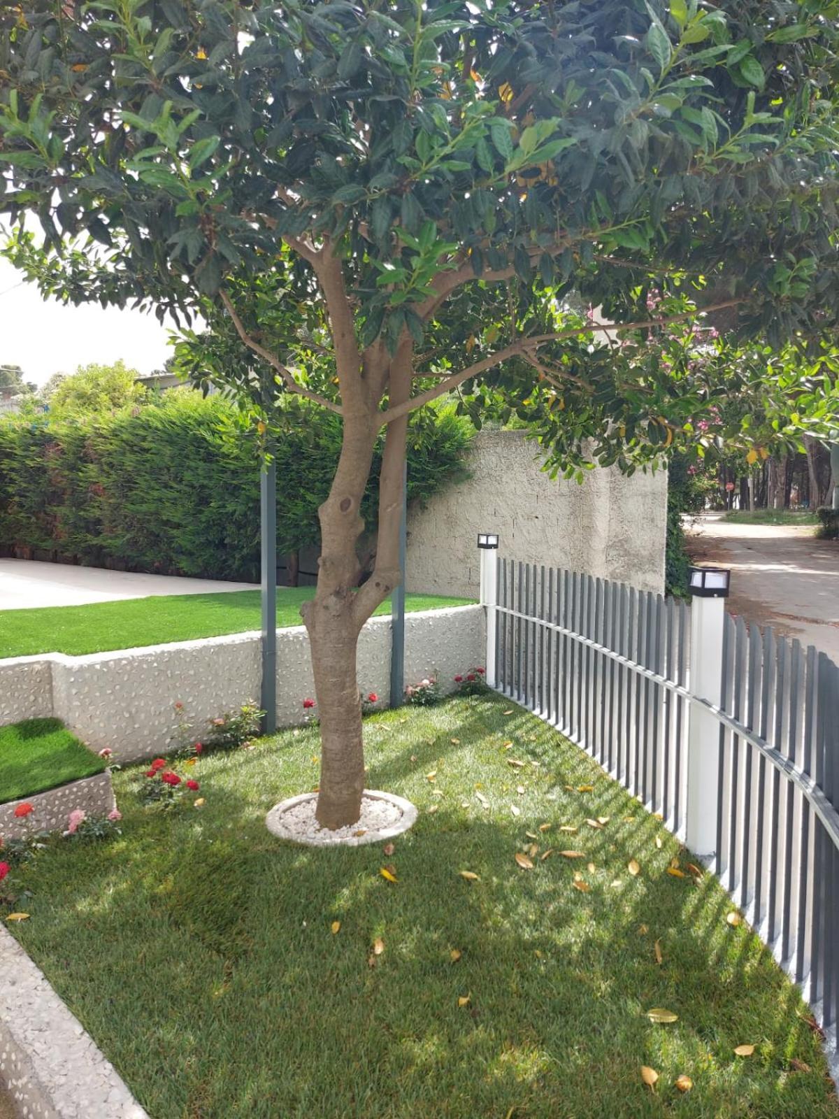 Vila Green Relax Vlorë エクステリア 写真