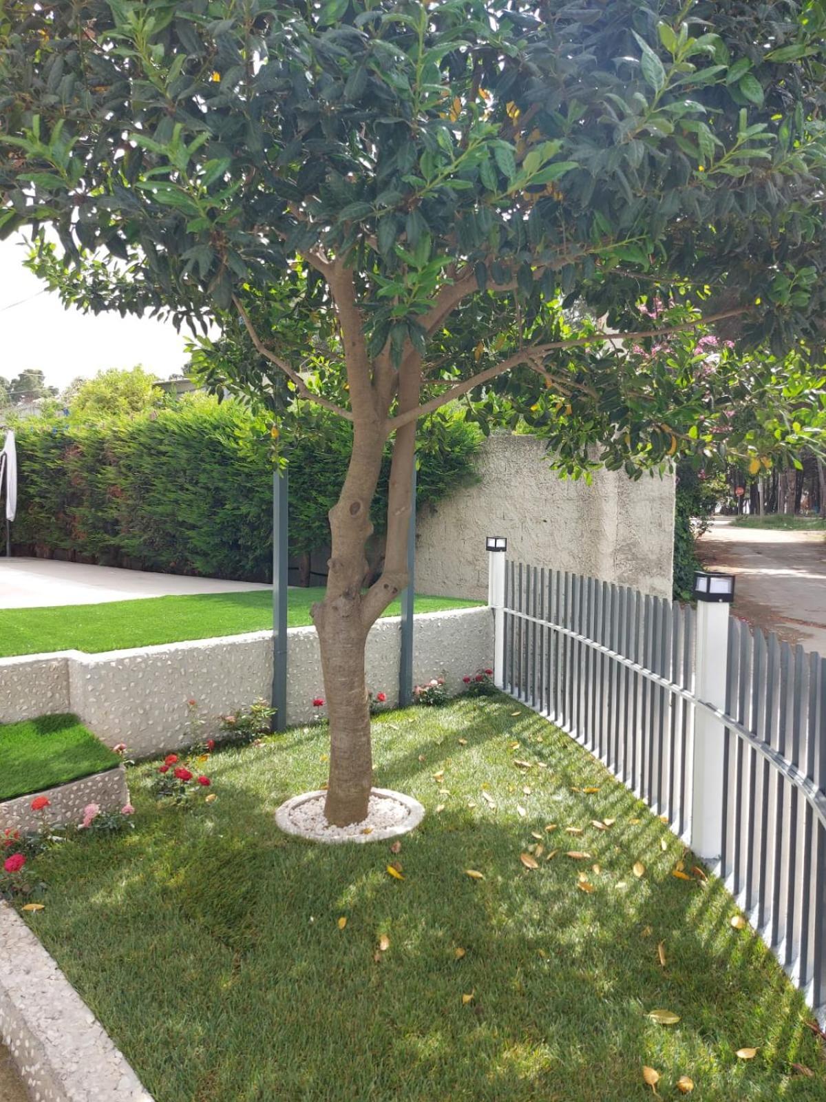 Vila Green Relax Vlorë エクステリア 写真